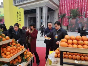 李進 我的情人叫奉節臍橙 根號二奉節臍橙